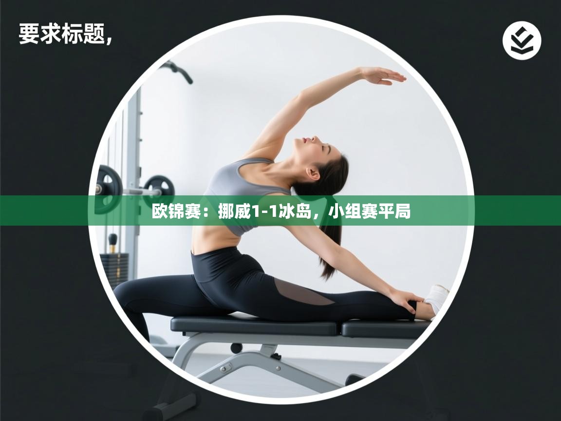 欧锦赛：挪威1-1冰岛，小组赛平局  第2张