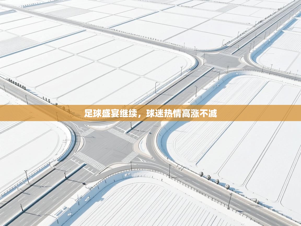 足球盛宴继续，球迷热情高涨不减