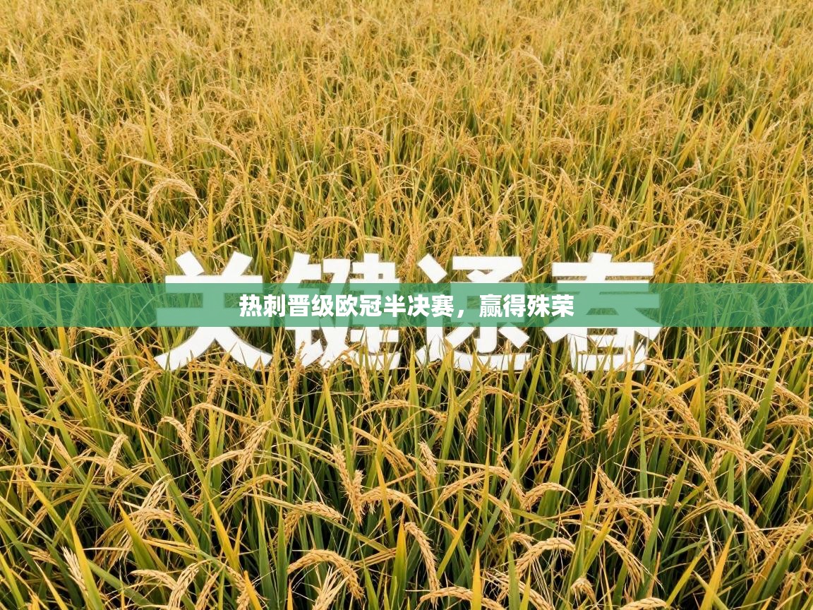 热刺晋级欧冠半决赛，赢得殊荣  第2张